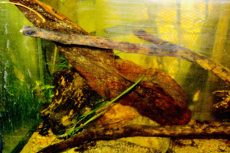 IMG_0117.jpeg IMG_0117.jpeg