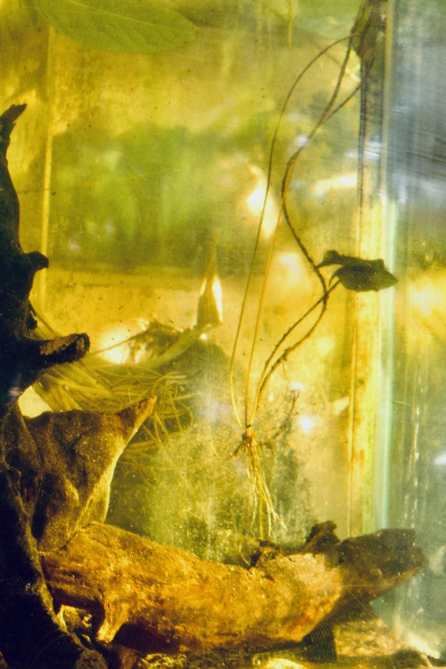 IMG_0141.jpeg IMG_0141.jpeg