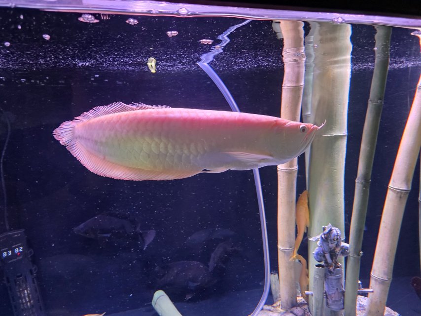 1000031258.jpg 1000031258.jpg