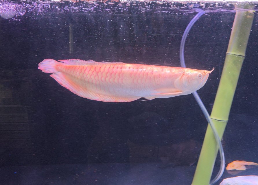 1000031256.jpg 1000031256.jpg