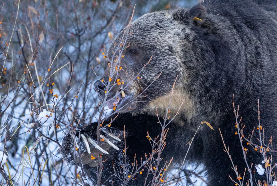 IMG_0087.jpeg IMG_0087.jpeg