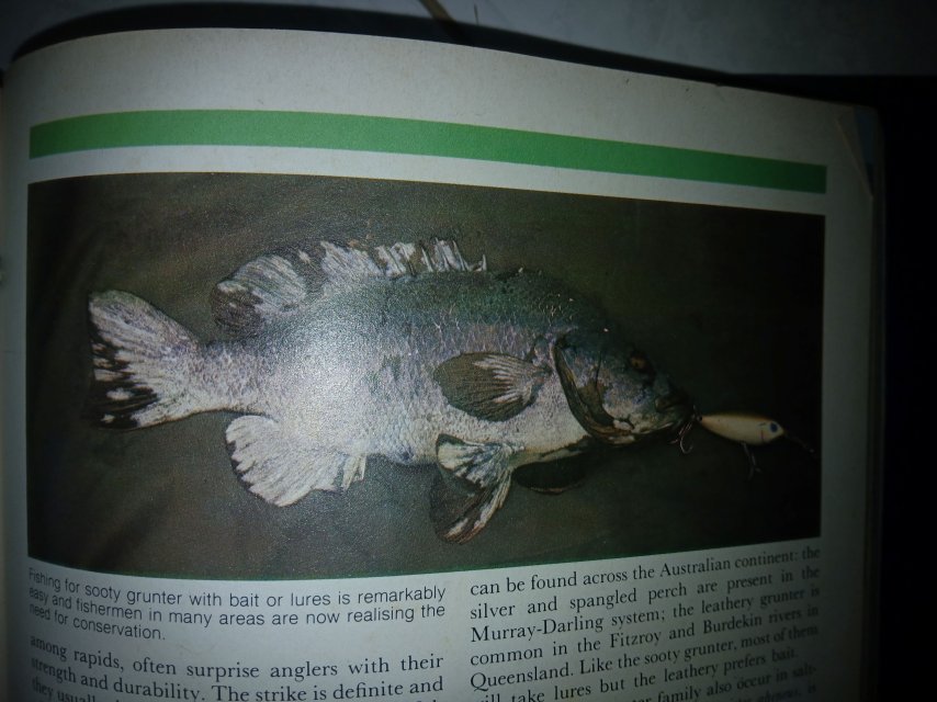 20251125_125618 resized.jpg