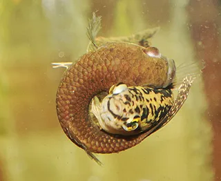 1764196105184.png 1764196105184.png