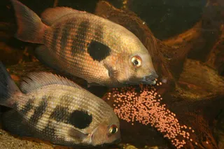 1764196355470.png 1764196355470.png