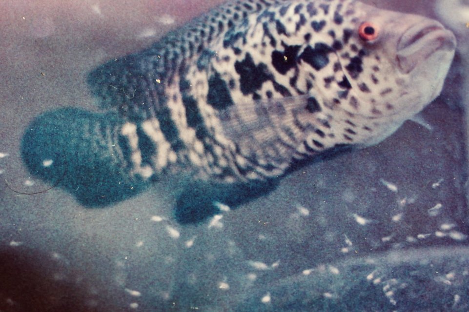 IMG_3846.jpeg IMG_3846.jpeg