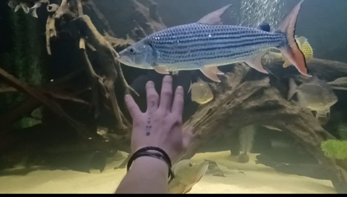 Screenshot_20251127_123453_Video Player.jpg