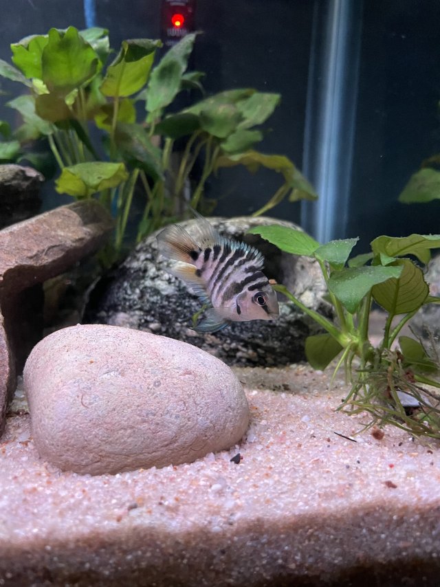 IMG_6183.jpeg IMG_6183.jpeg