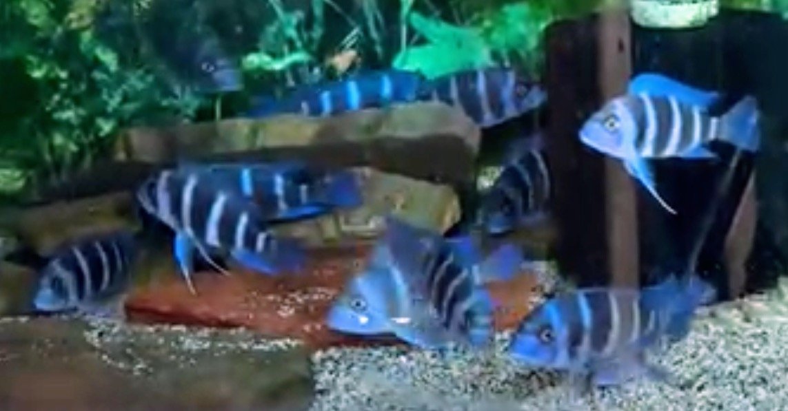 IMG_6498.jpeg IMG_6498.jpeg