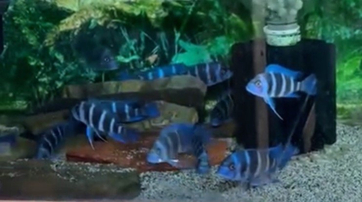 IMG_6496.jpeg IMG_6496.jpeg