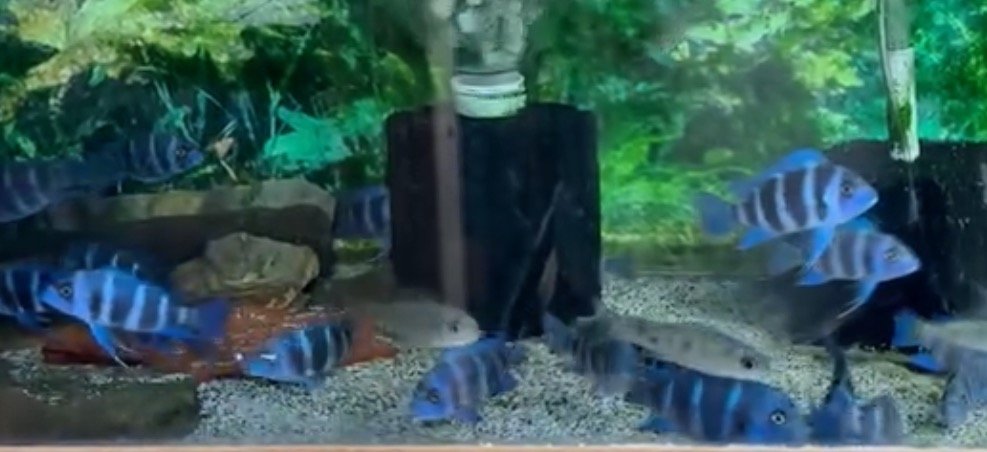 IMG_6495.jpeg IMG_6495.jpeg