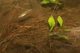 1764629756330.png 1764629756330.png