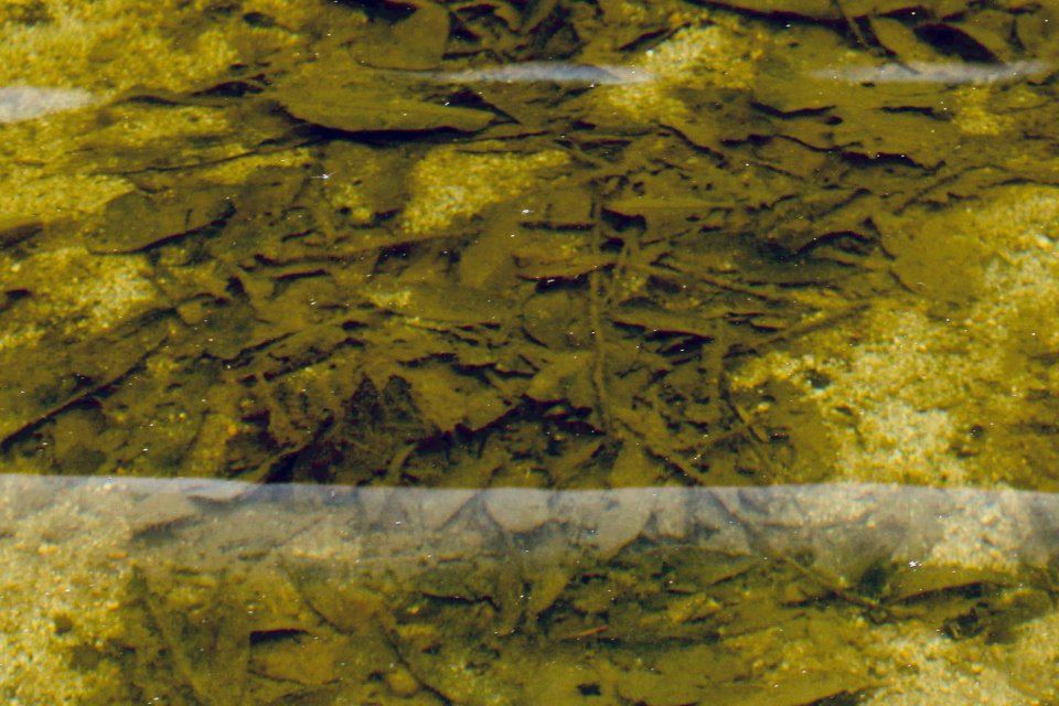 IMG_4390.jpeg IMG_4390.jpeg