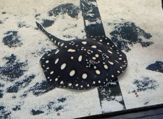 Screenshot_20251202_190527_Video Player.jpg