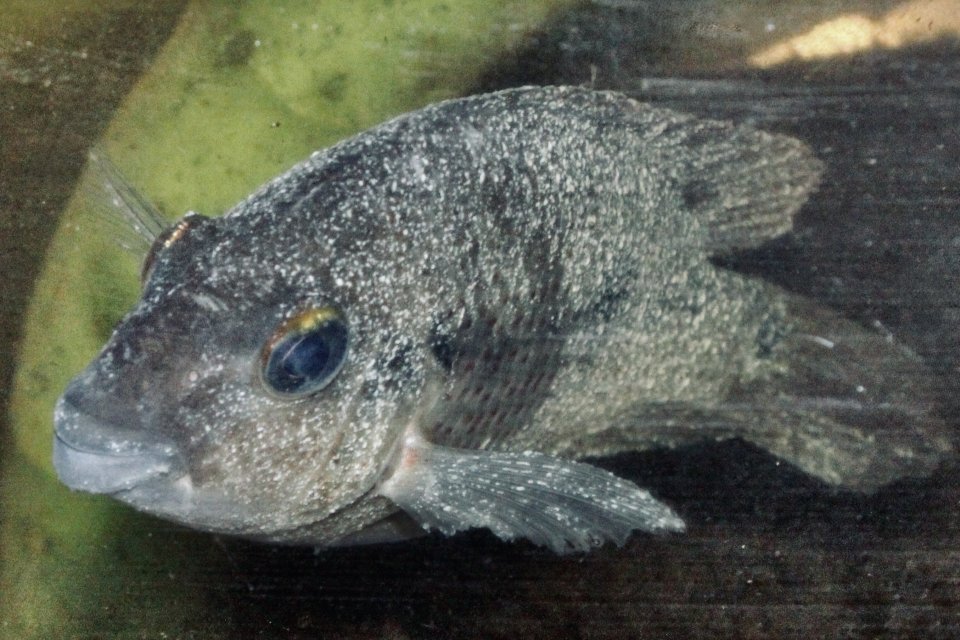 IMG_6067.jpeg IMG_6067.jpeg