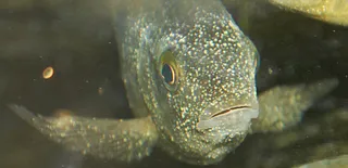 1764754166898.png 1764754166898.png