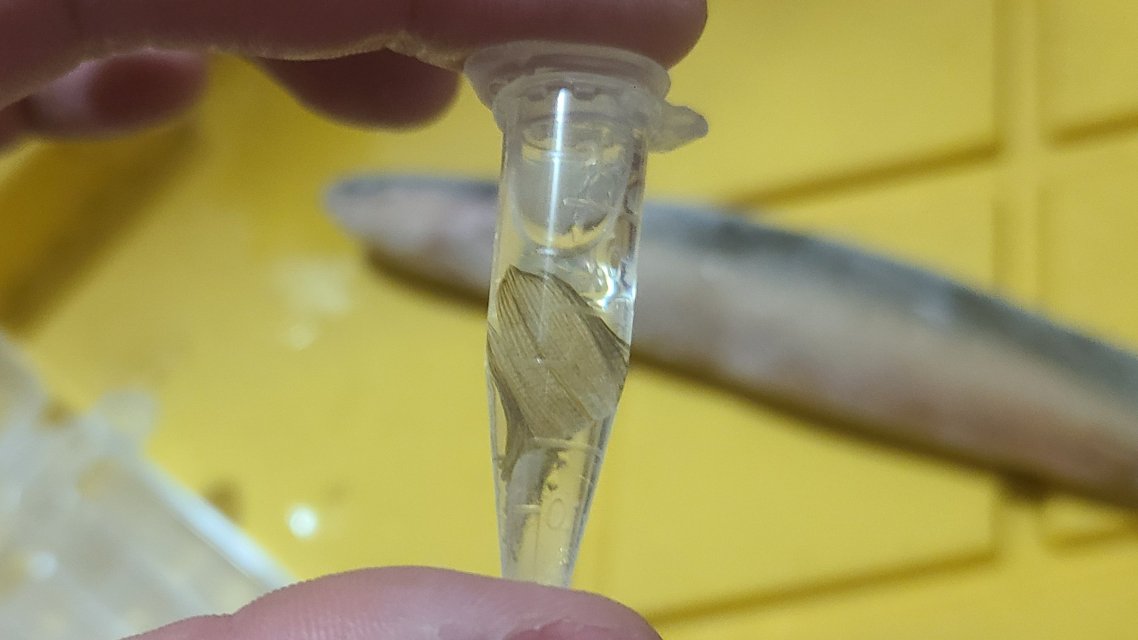 -lbbwr6.jpg -lbbwr6.jpg