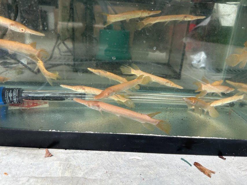 IMG_9979.JPG IMG_9979.JPG