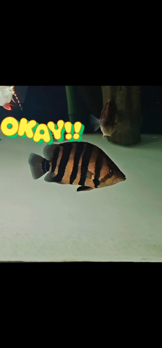 Screenshot_20251203_110130_Gallery.jpg Screenshot_20251203_110130_Gallery.jpg