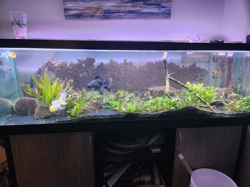 54961472432_d3537b7163_b.jpg 54961472432_d3537b7163_b.jpg