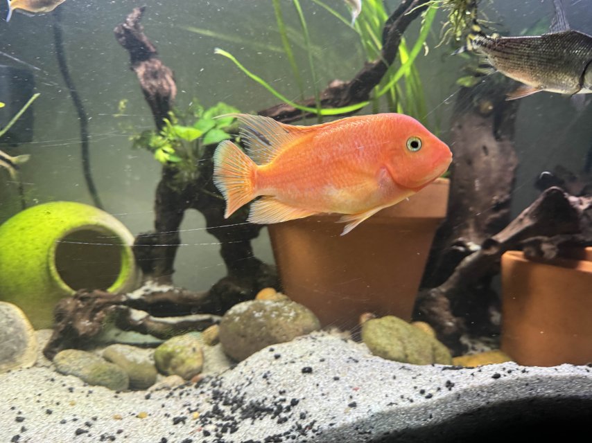 IMG_8142.jpg IMG_8142.jpg