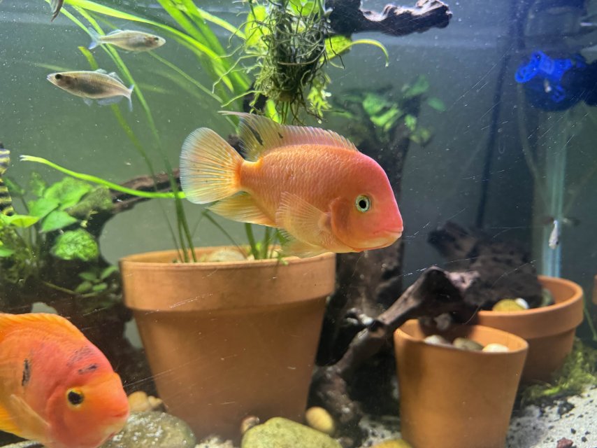 IMG_8145.jpg IMG_8145.jpg