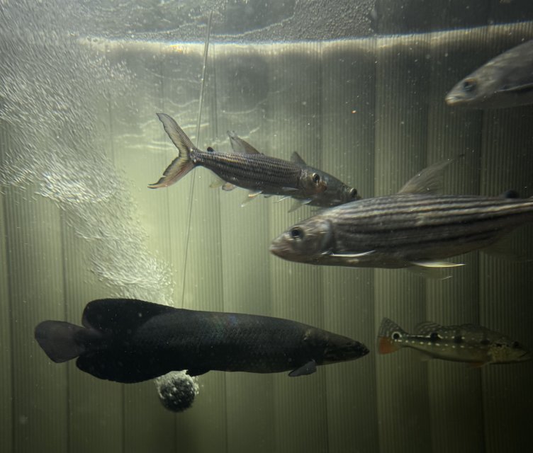 IMG_6925.jpeg IMG_6925.jpeg