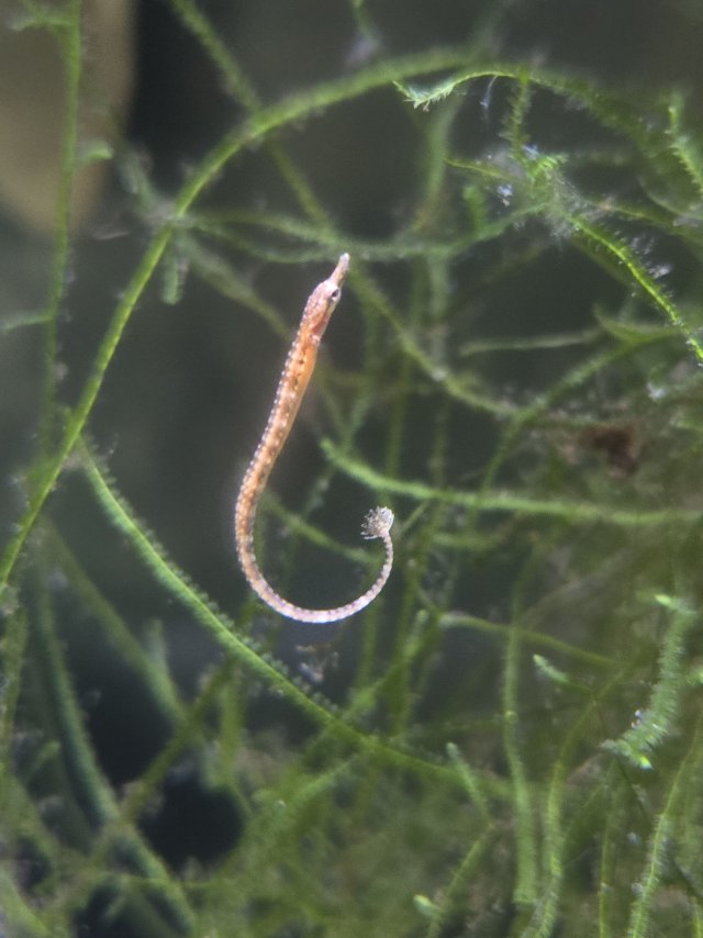 1764860008455.jpeg 1764860008455.jpeg