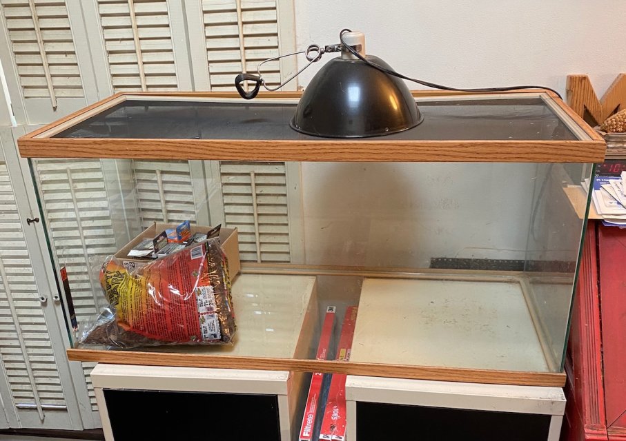 IMG_3079.jpg IMG_3079.jpg