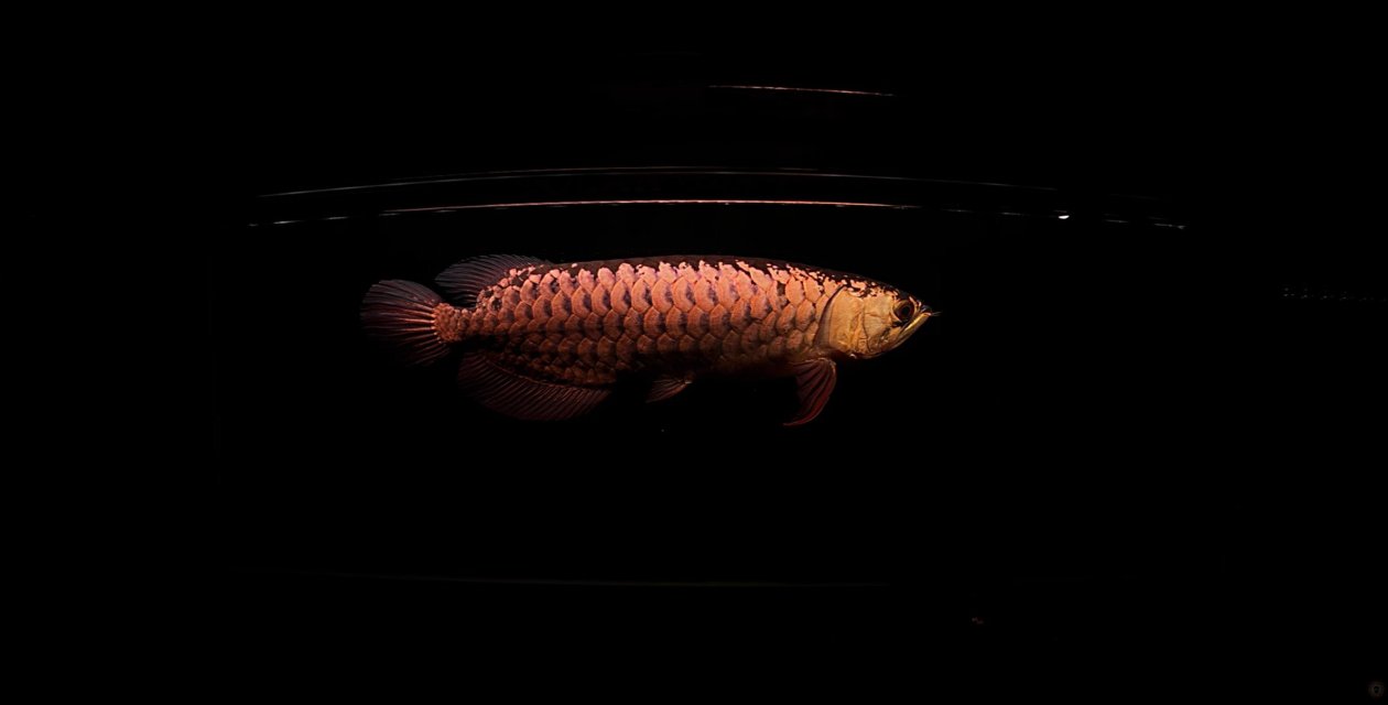 Screenshot 2025-12-05 184357.jpg