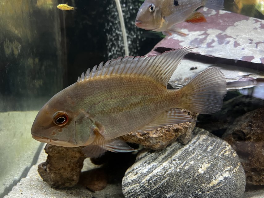 IMG_5507.jpeg IMG_5507.jpeg