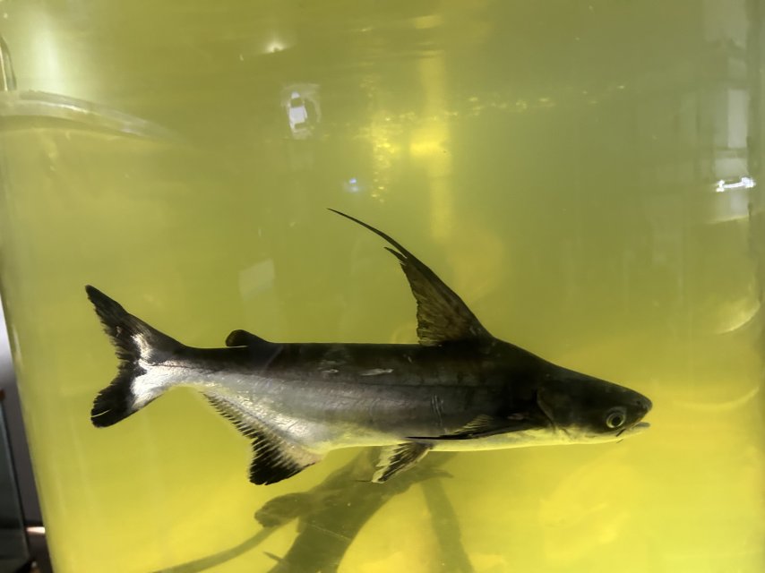 IMG_1530.jpeg IMG_1530.jpeg