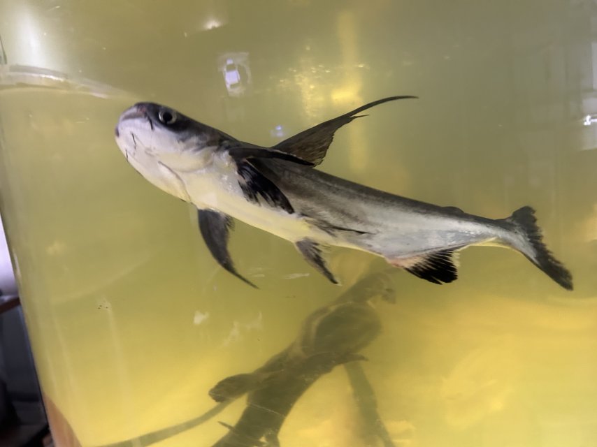 IMG_1532.jpeg IMG_1532.jpeg