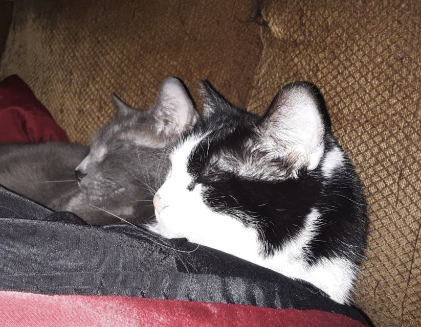 1000002172.jpg 1000002172.jpg