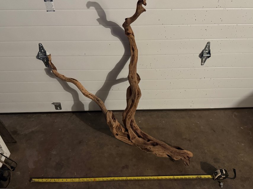 IMG_9070.jpeg IMG_9070.jpeg