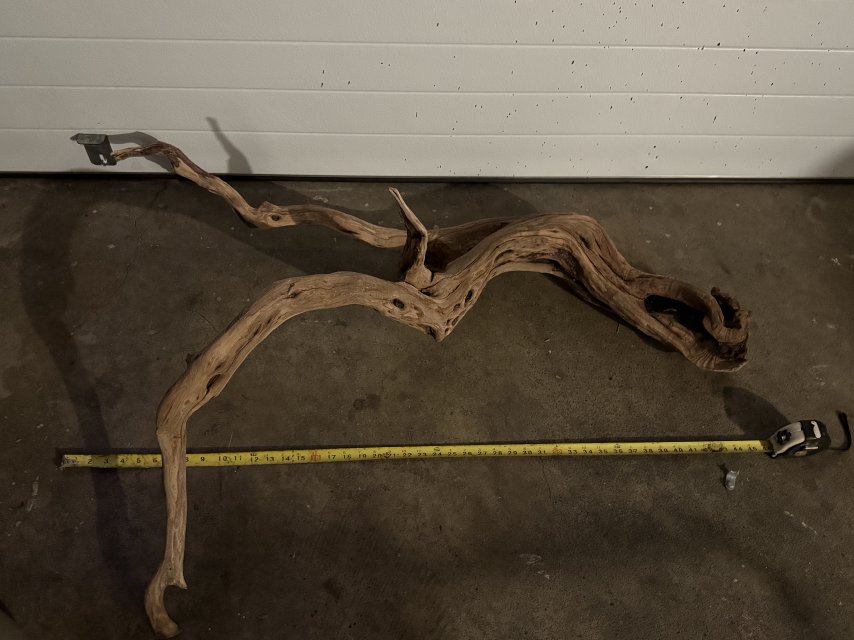 IMG_9071.jpeg IMG_9071.jpeg