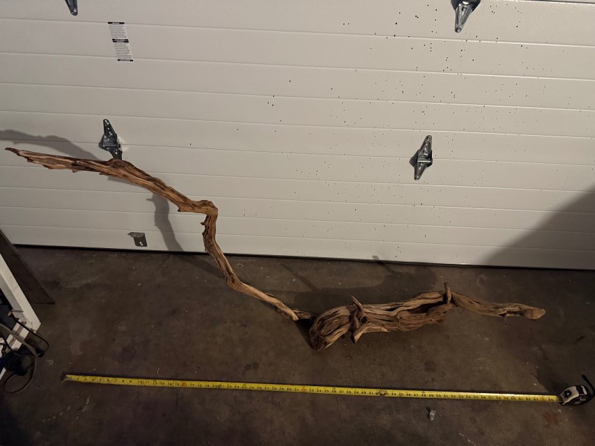 IMG_9072.jpeg IMG_9072.jpeg