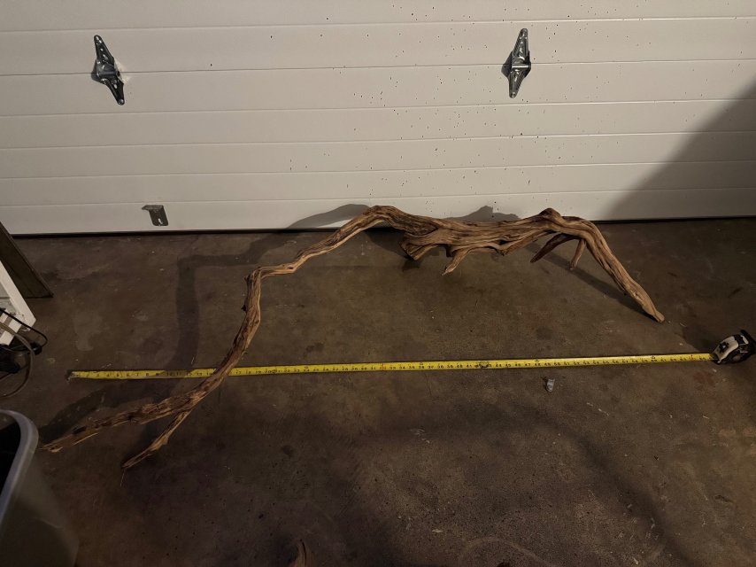 IMG_9073.jpeg IMG_9073.jpeg