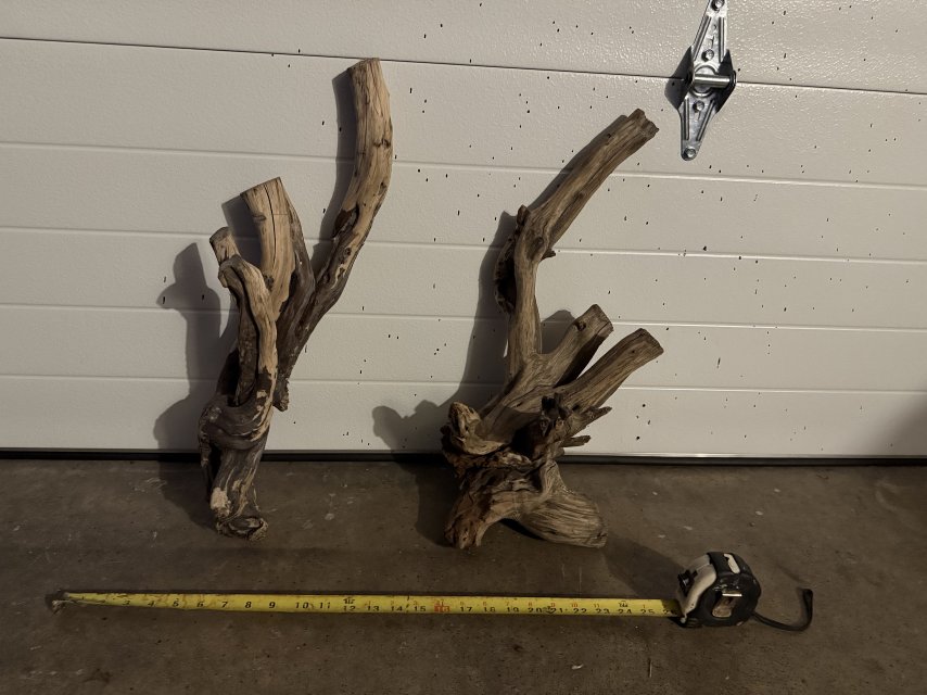 IMG_9074.jpeg IMG_9074.jpeg