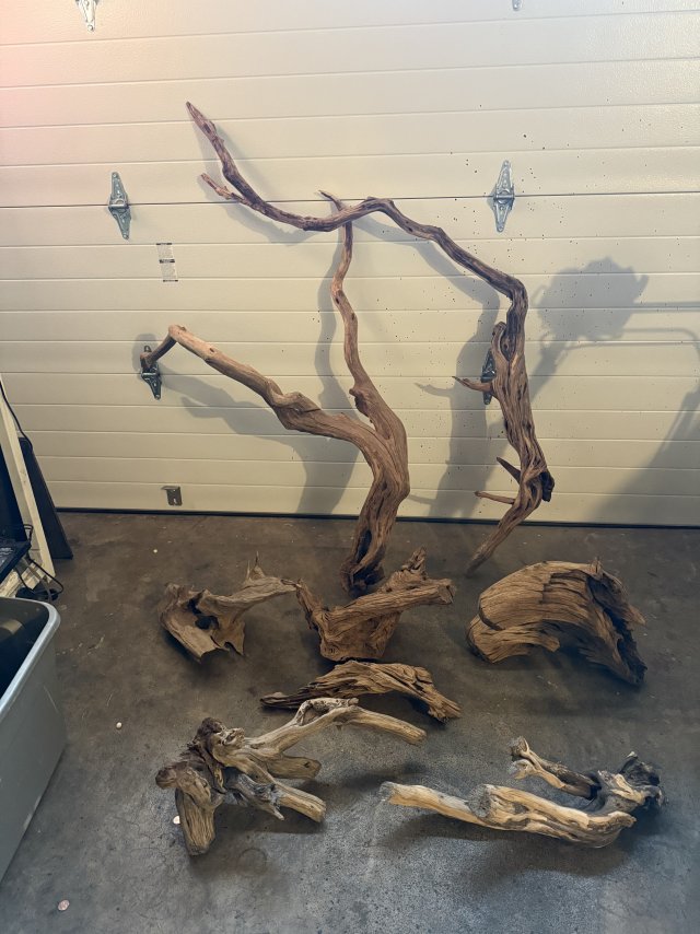 IMG_9080.jpeg IMG_9080.jpeg