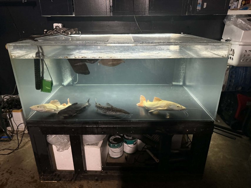 att.of2wLbWL01k_sd6p8-caPGVIPGflEQLQ5-4bEcXKuxM.jpeg att.of2wLbWL01k_sd6p8-caPGVIPGflEQLQ5-4bEcXKuxM.jpeg