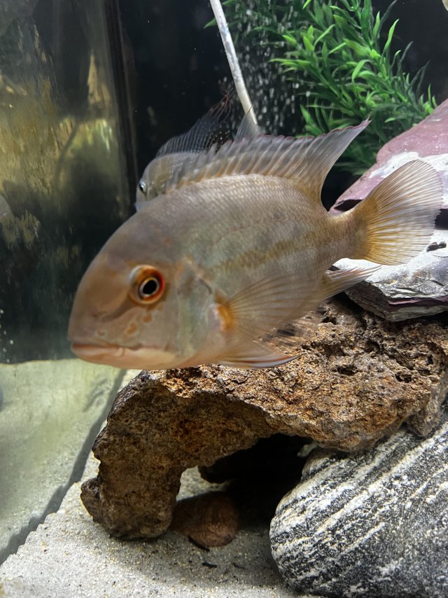 IMG_5508.jpeg IMG_5508.jpeg