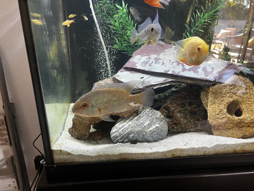 IMG_5506.jpeg IMG_5506.jpeg