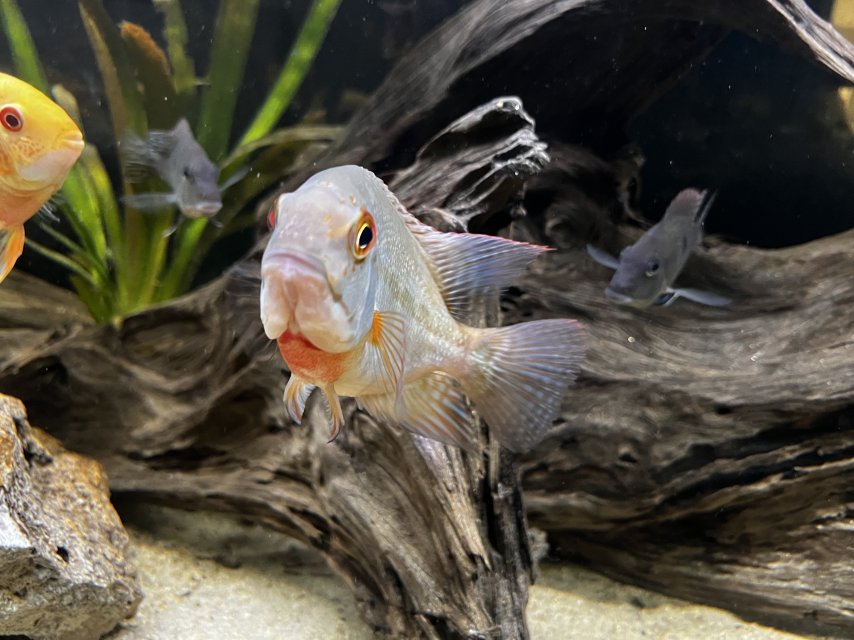 IMG_4148.jpeg IMG_4148.jpeg