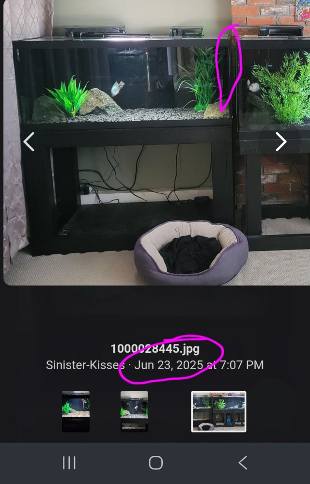 1000035401.jpg 1000035401.jpg