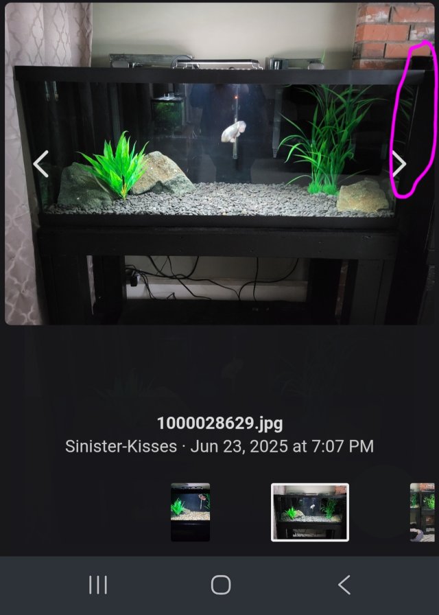 1000035402.jpg 1000035402.jpg