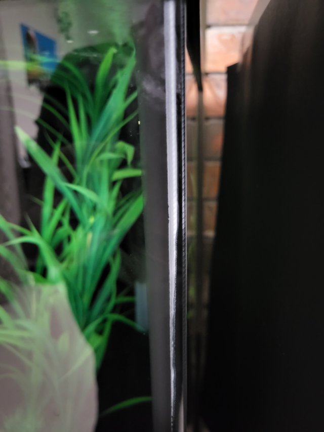 1000035378.jpg 1000035378.jpg