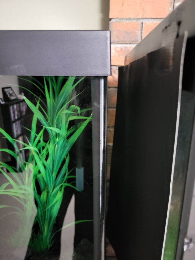 1000035400.jpg 1000035400.jpg