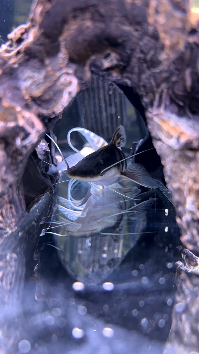 IMG_7507.jpeg IMG_7507.jpeg