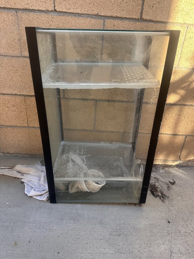 IMG_8957.jpeg IMG_8957.jpeg