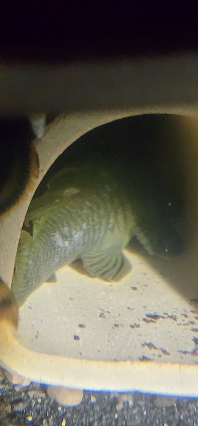 1000056705.jpg 1000056705.jpg